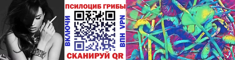 мега ТОР  купить наркотик  Чернушка  Псилоцибиновые грибы мухоморы 